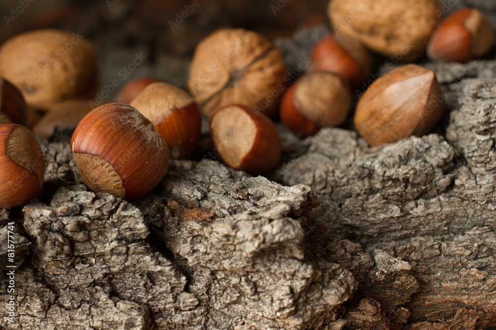 brown mature nuts on a gray background bark
