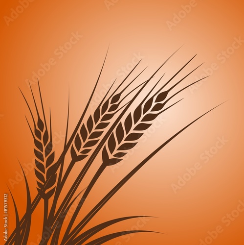 Wheat at sunset - illustration