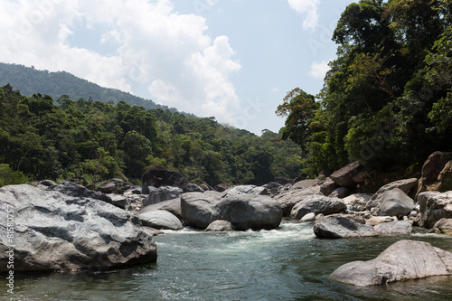 Cangrejal river in pico Bonito national park Honduras