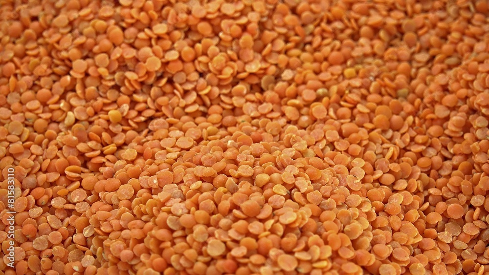 Rotating Red Lentils (loopable) Rotating Red Lentils (loopable)