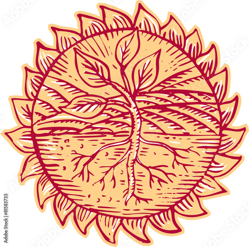 Plant Roots Field Sun Etching