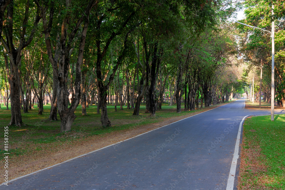 Road Road