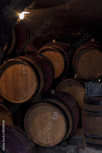 Bild auf Leinwand tonneaux de vin