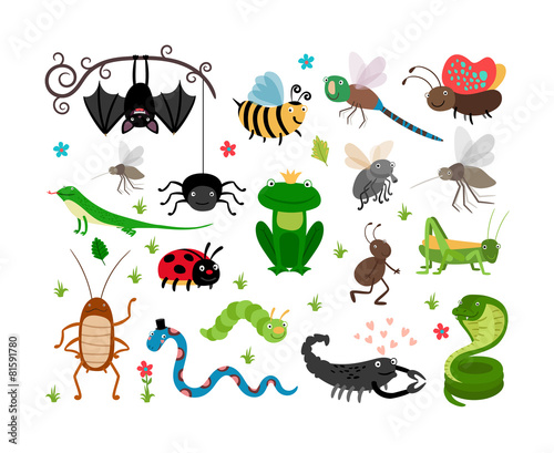 Cute vector insects, reptiles. Bee, grasshopper, lizard and