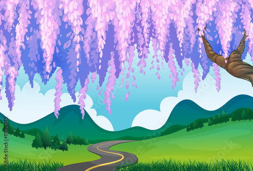 Spring