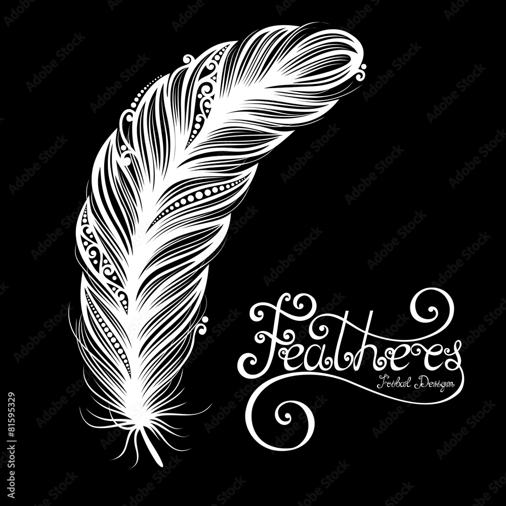 Obraz premium Vector Peerless Decorative Feather