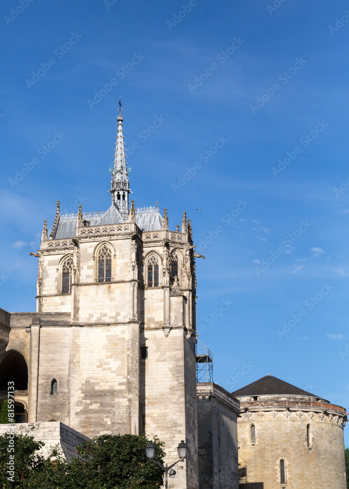Fototapeta premium Chateau d'Amboise
