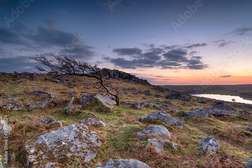 Fotografija Sunset on the Moor
