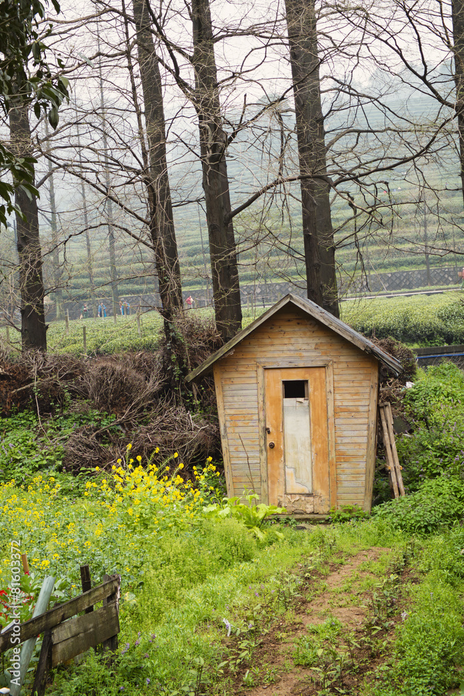 little hut in the tea garden little hut in the tea garden
