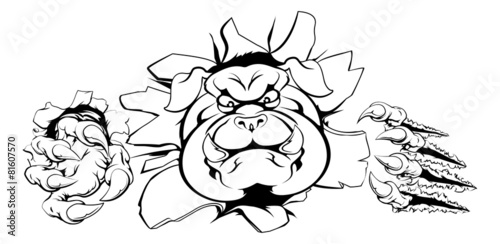 Bulldog crashing through wall