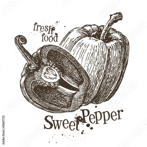 pepper vector logo design template. fresh vegetables, food or