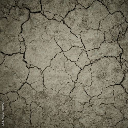 dry cracked soil background