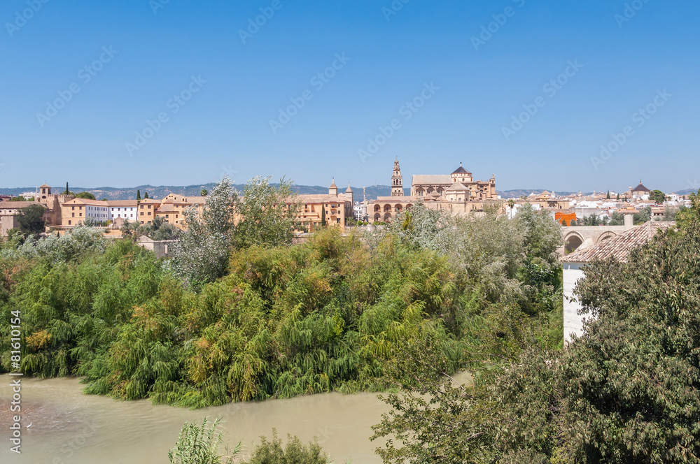 Panorama of Cordoba in Spain