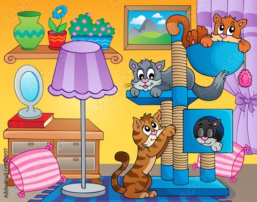 Room with happy cats
