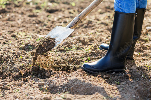 Shoveling in the garden