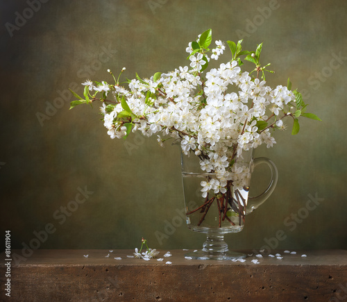 Still life with bouquet of cherry blossoms in a glass jug