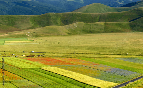 Piano Grande di Castelluccio (Italy)