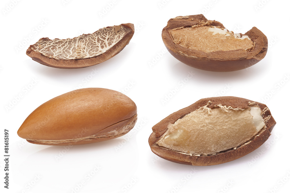 seeds of argan on white,a close up on white background seeds of argan on white,a close up on white background