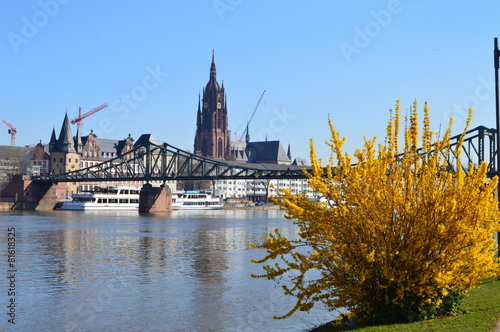 Frankfurt,Main mit Eisernem Steg und Dom photo