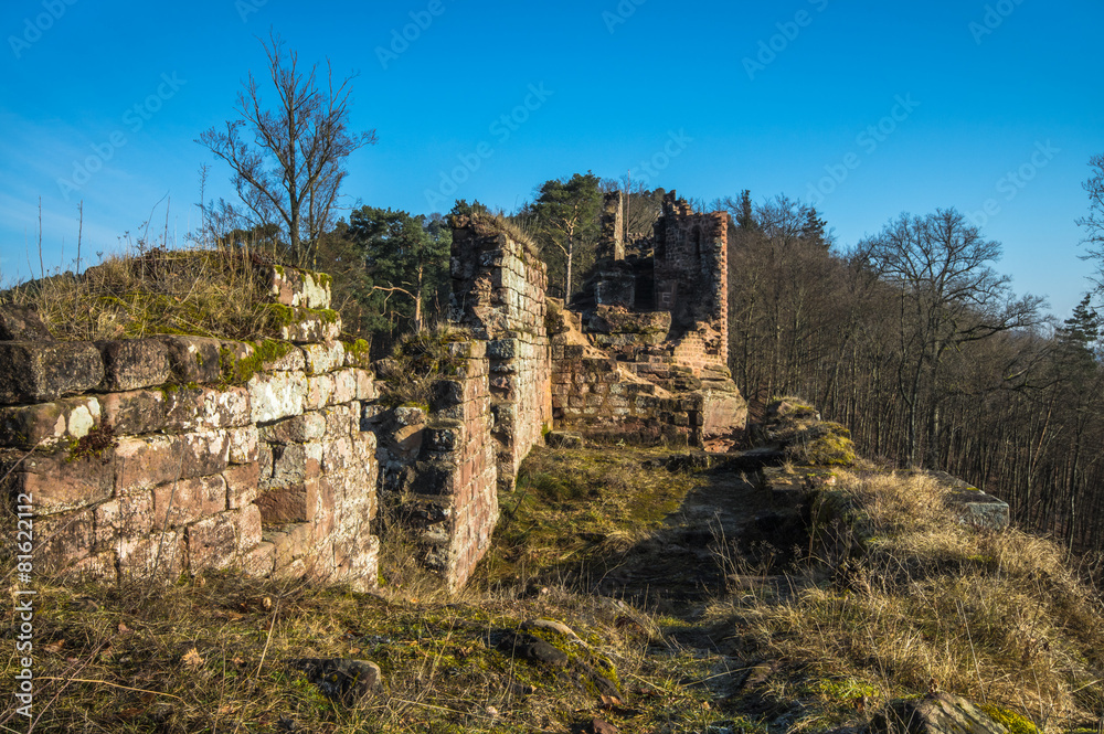 Ruine Schöneck