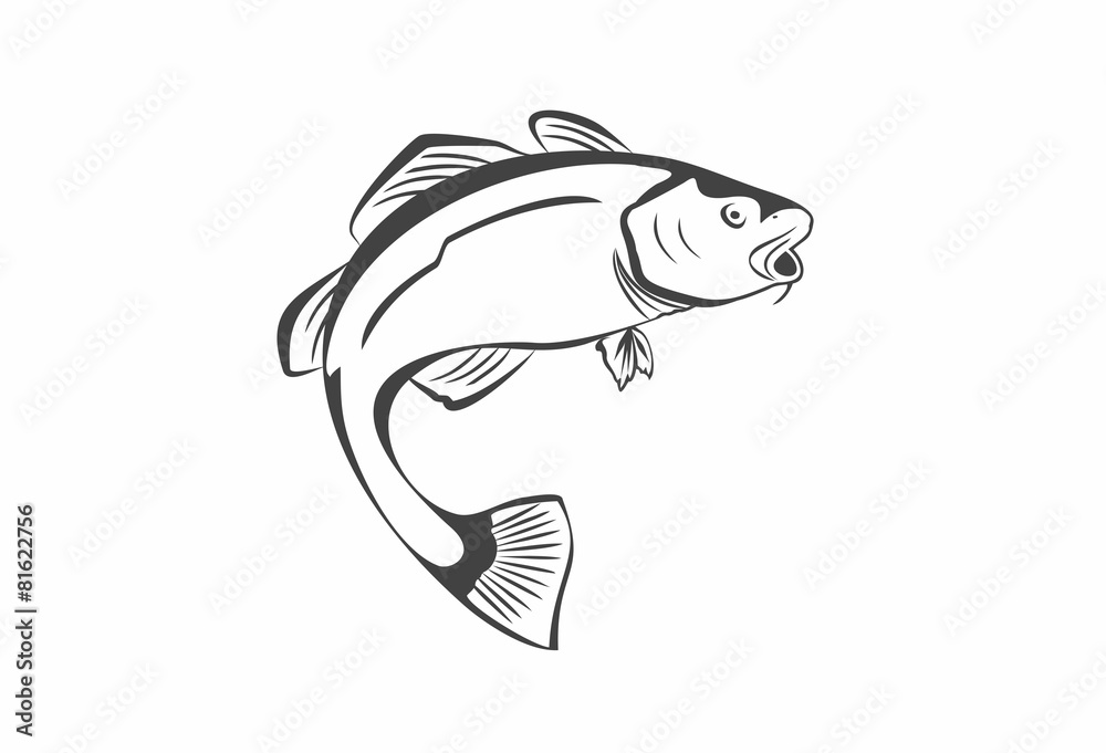 Fototapeta premium Cod Fish