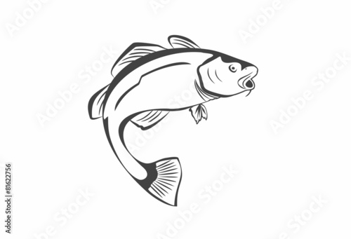 Cod Fish photo
