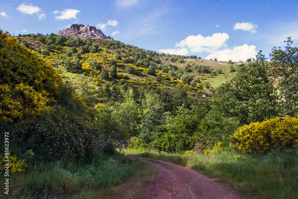 Paisaje primaveral de montaña, arboledas, brezos, rosales Paisaje primaveral de montaña, arboledas, brezos, rosales