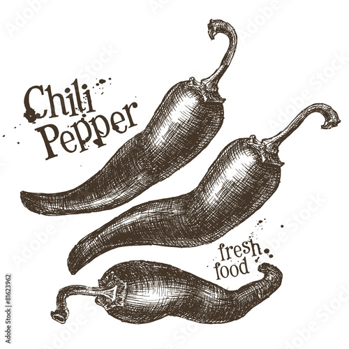chili pepper vector logo design template. fresh vegetables, food
