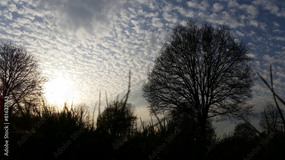 Obraz premium Just a beautiful spring evening in Germany