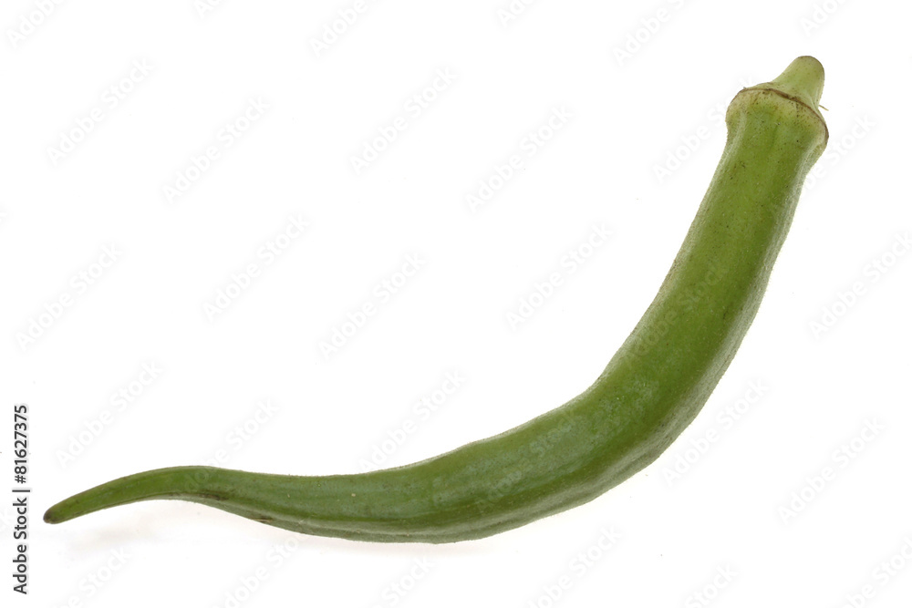 okra isolated on white background. okra isolated on white background.