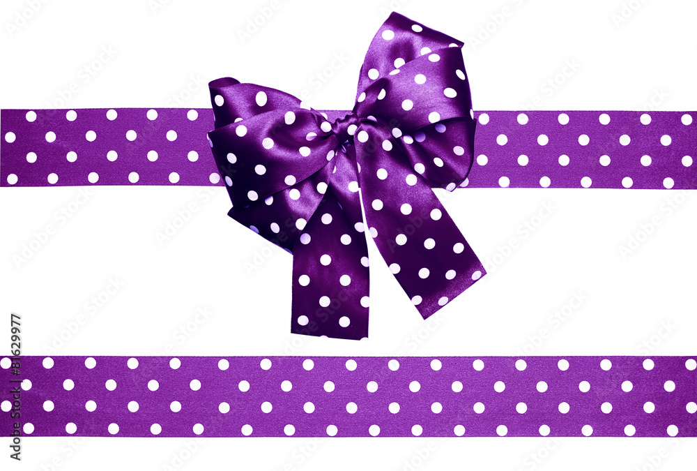 violet bow and ribbon with white polka dots made from silk violet bow and ribbon with white polka dots made from silk