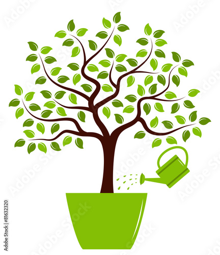 tree in pot