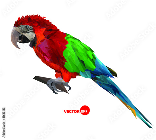 large bird, colorful parrot macaw sitting on a brunch