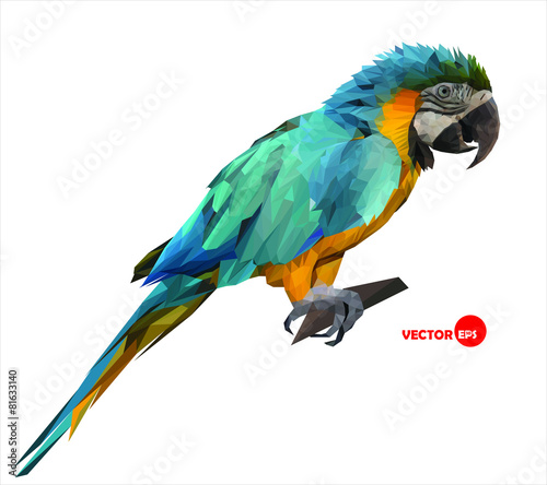 colorful macaw parrot sitting on a wooden stick