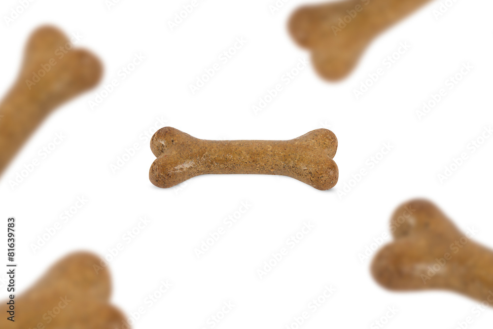 Fototapeta premium Dog Food Falling