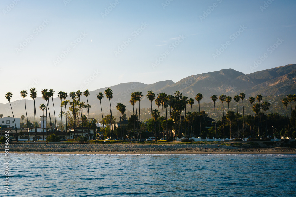 View of palm trees on the shore and mountains from Stearn's Whar