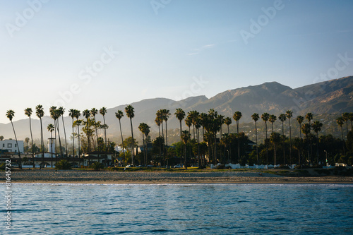 Obraz na płótnie View of palm trees on the shore and mountains from Stearn's Whar w salonie