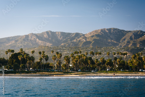View of palm trees on the shore and mountains from Stearn's Whar photo