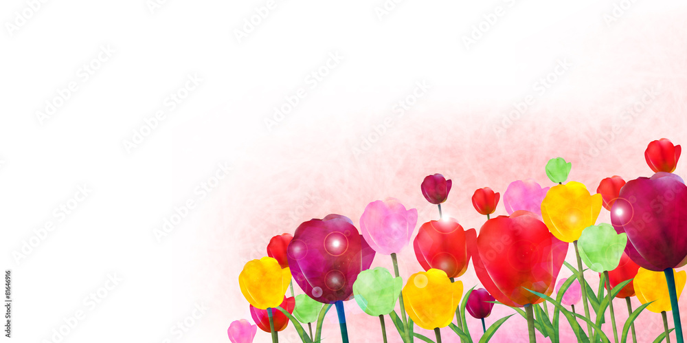 チューリップ 花 背景 チューリップ 花 背景