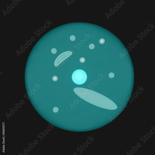 Multiple fission in ameoba