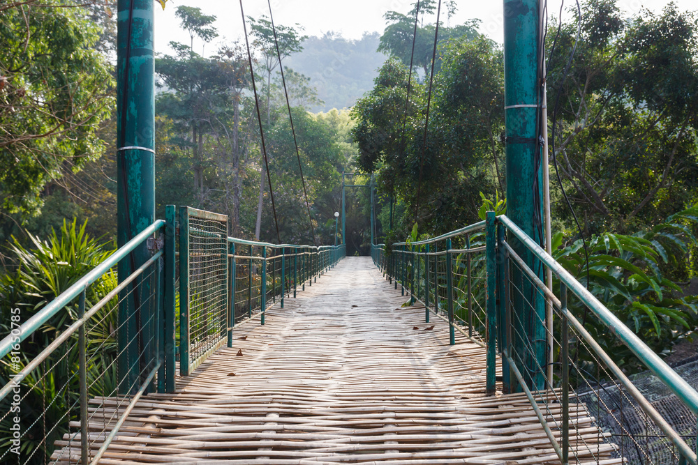 wooden suspension bridge across the river