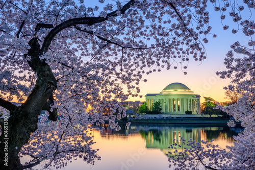 Washington DC Spring at the Tidal Basin and Jefferson Memorial photo