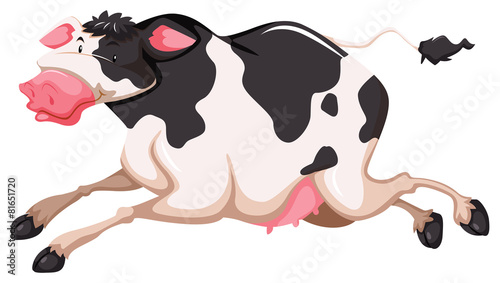 Cute cow