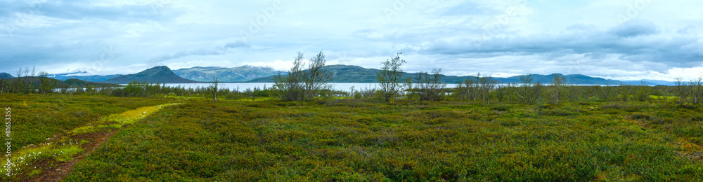 Tornetrask lake summer view ( Lapland, Sweden)