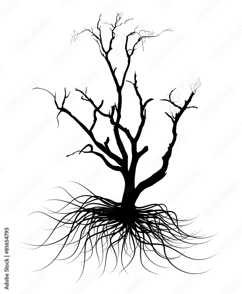 Obraz premium Black Shape Dead Tree Design Element