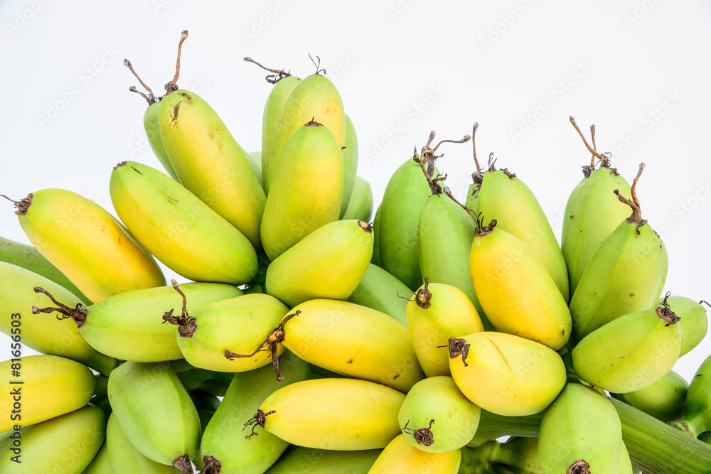 Ripe Pisang Mas banana or Musa :Kluai Khai, 