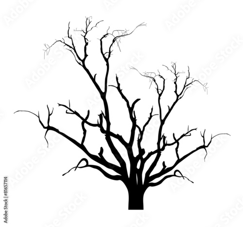 Dry Tree Black Shape