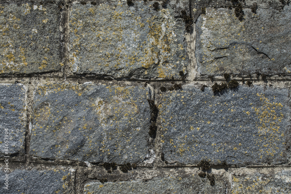 Old mossy stone wall Old mossy stone wall