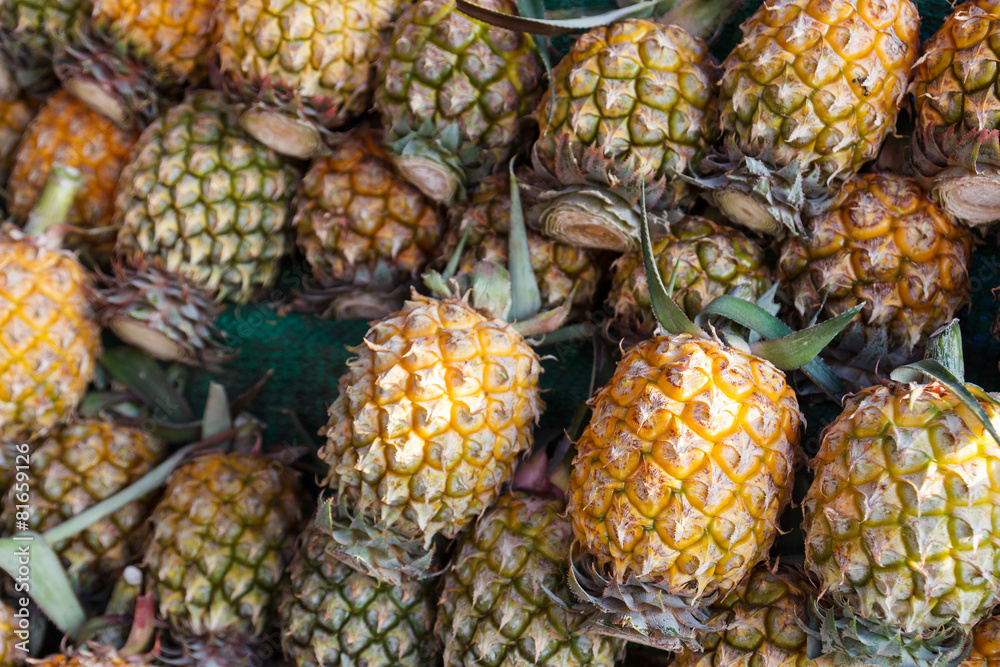 pineapple on shelf for sale pineapple on shelf for sale