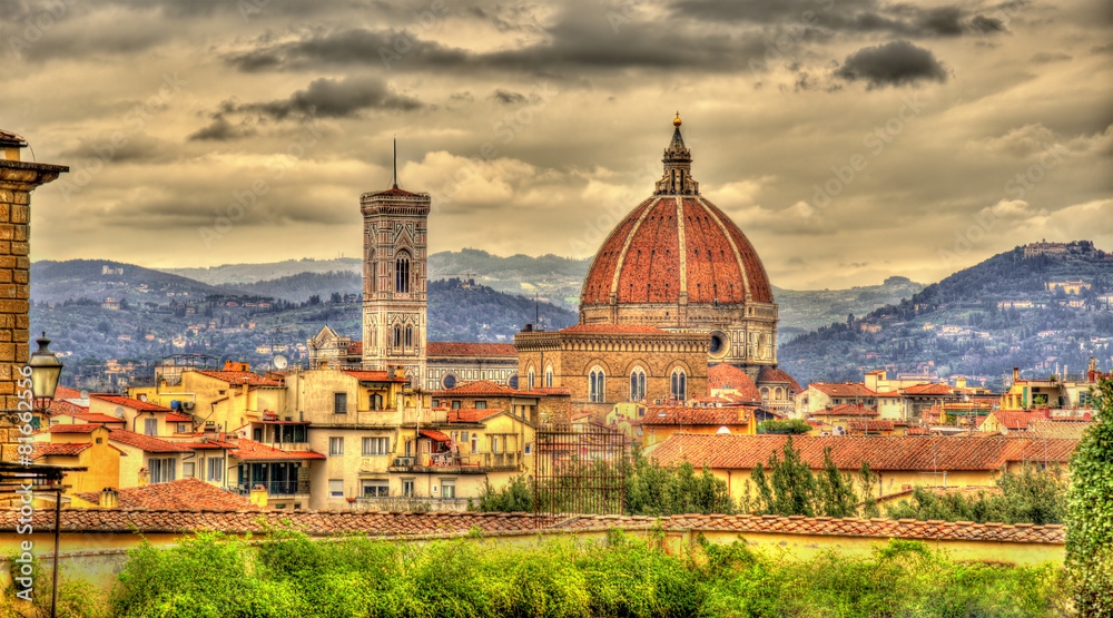 View of the Cathedral of Saint Mary of the Flower in Florence, I